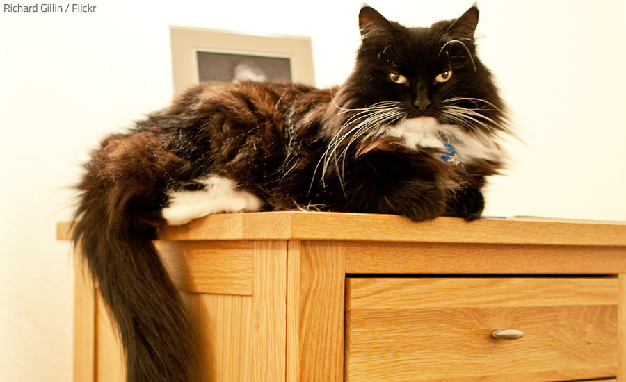Nothing forgotten in the drawers, right?