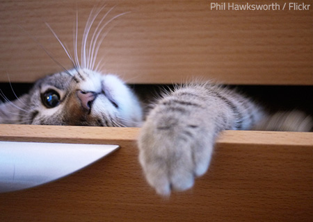 Your moving day checklist ends with a thorough inspection of your old home.