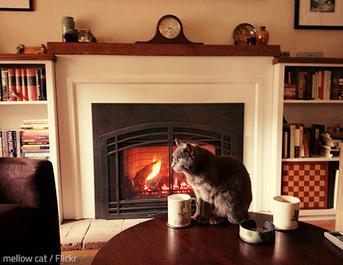 There is no place like home.