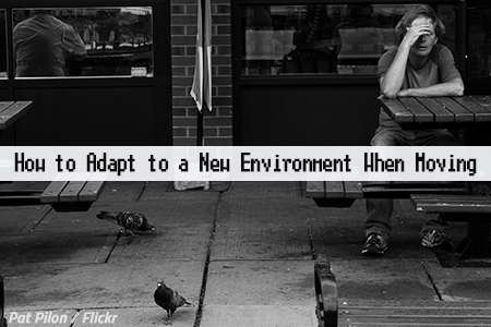 How to adapt to a new environment after moving house