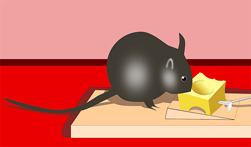 Be careful Yelp.comto avoid fraudulent attempts when planning a house move.