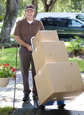 Express delivery fee