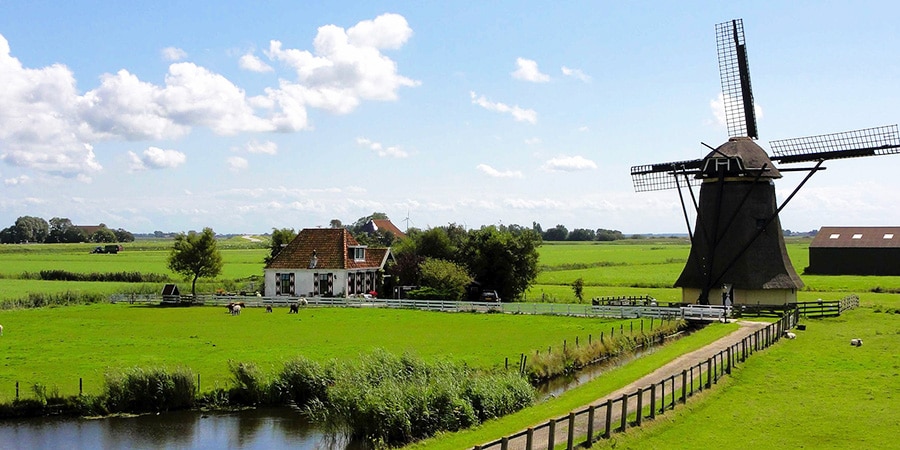 Moving from USA to the Netherlands