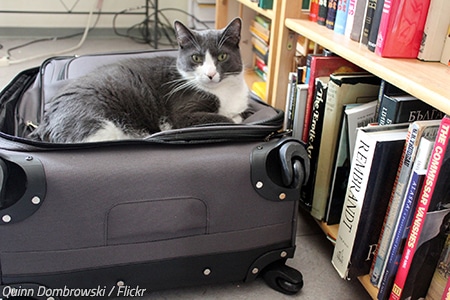 How to pack heavy books for moving