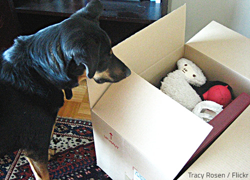 Find out how to pack your boxes safely and efficiently.