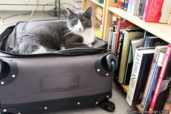 Suitcases are very efficient moving containers.