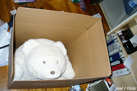 Professional packing services