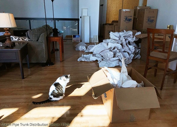 To unpack efficiently after moving, you need to clean as you go.