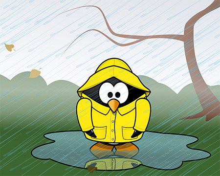 Stay dry and safe when moving in the rain.