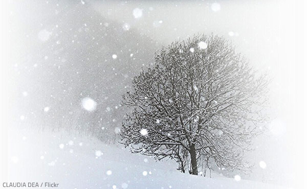Weather is unpredictable.