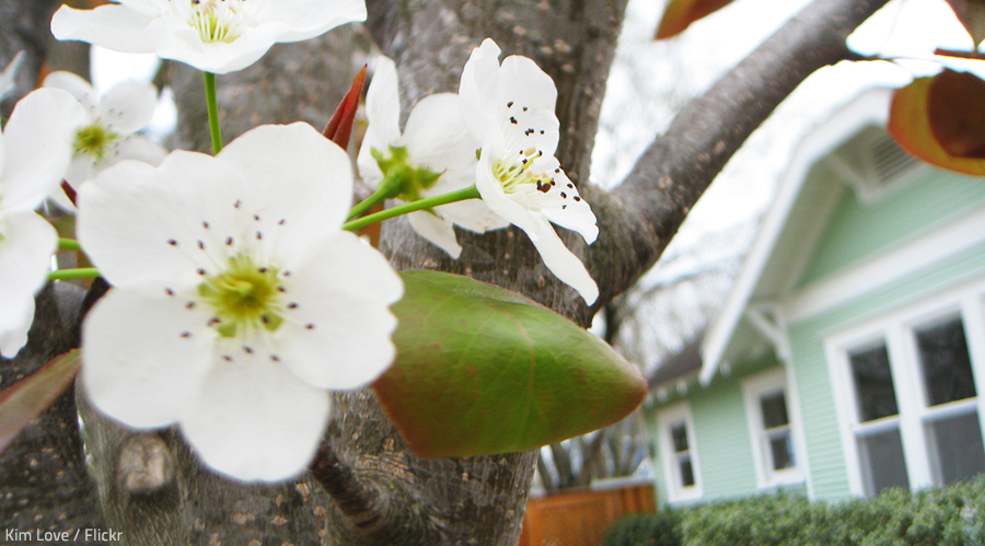 Moving in spring is a chance for a new beginning.