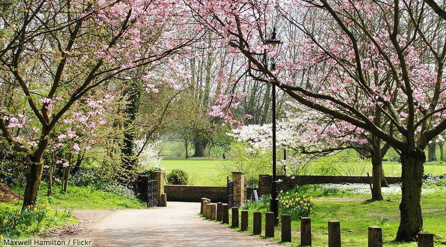 A spring move is an adventure like no other.