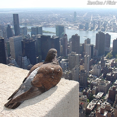 Signs you need to move to a new city