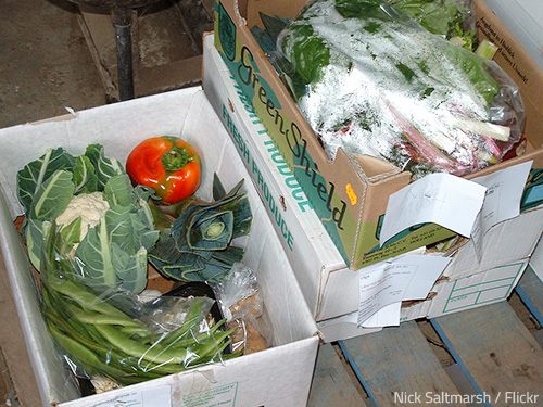 Used packing boxes are dirty and unsanitary.