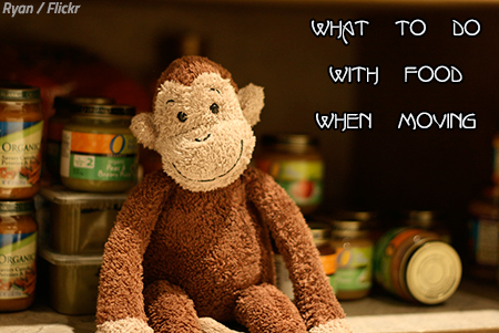 What to do with food when moving